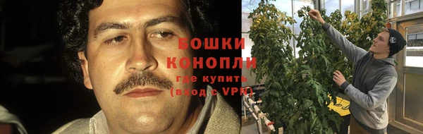 прущая мука Ельня