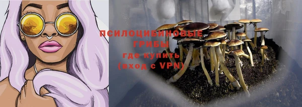 а пвп мука Елизово