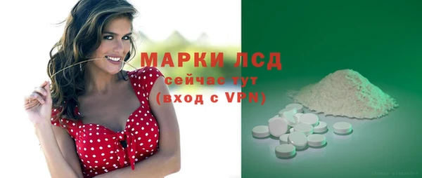прущая мука Ельня
