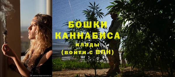 прущая мука Ельня
