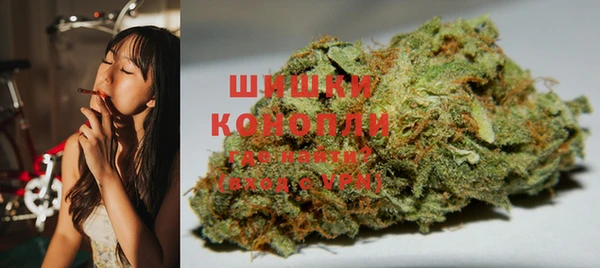 прущая мука Ельня