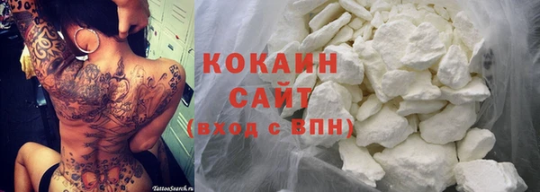прущая мука Ельня