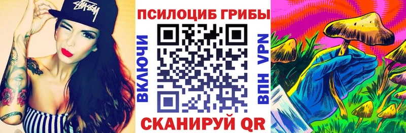 Купить где  Болхов  Псилоцибиновые грибы ЛСД 