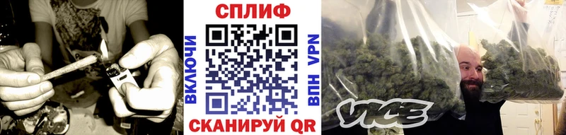 Шишки марихуана THC 21%  Купить  Болхов 